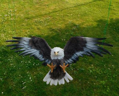 Gartenfigur Adler Greifvogel fliegend 60cm Weißkopfseeadler 11667 lebensecht