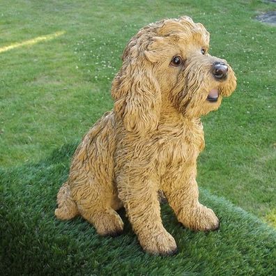 Gartenfigur Hund Basset Fauve de Bretagne Z3046 Garten lebensecht Figur