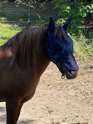 Horse Guard Insektenschutz Fliegenmütze Vollmaske Ohrenschutz UV Schutz blau Neu
