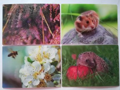 3 D Ansichtskarte Spinne Igel Biene Hamster Postkarte Wackelkarte Hologrammkarte Tier