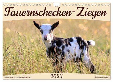 Tauernschecken-Ziegen 2023 Wandkalender