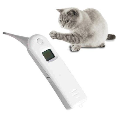 LCD-Digitalthermometer für Haustiere