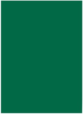 folia 6358 - Tonpapier tannengrün, DIN A3, 130 g/ qm, 50 Blatt - zum Basteln und ...