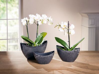 Pflanztöpfe Übertöpfe Orchideen Farbe Dunkelgrau Mamor Optik - 3 Stück im Set
