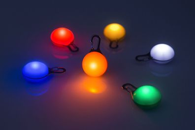 Precorn LED Leuchtanhänger Set für Hunde, Katzen uvm. Hundehalsband, Anhänger
