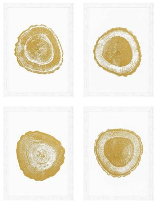 Casa Padrino Luxus Bilder Set Baumscheiben Jahresringe Weiß / Gold 61,5 x H. 82 cm -
