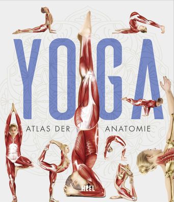 YOGA - Atlas der Anatomie Yoga Anatomie und Asanas (wissenschaftlic