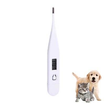 Professionell geführtes Haustier Hund, Katze elektronisches Thermometer-sicheres