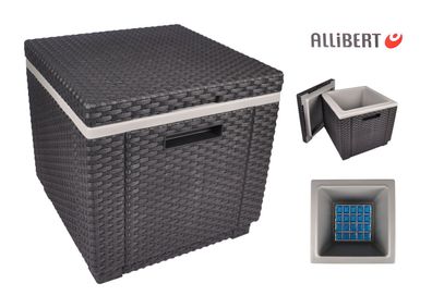 Allibert Kühlbox Beistelltisch Getränkekühler Kühlkiste Fußhocker Pflanzkübel