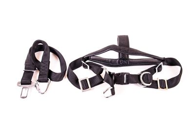 Roy Hundesicherheitsgurt Größe M und L Hundeleine