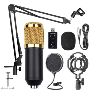 Bm800 professionelles Aufhängungsmikrofon-Kit - Rundfunkaufzeichnungskondensator