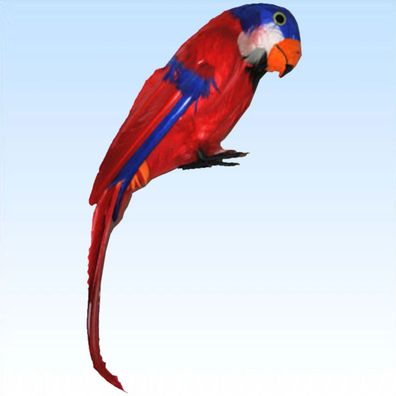 Großer Papagei mit echten Federn ca. 38cm Deko Dekoration für Kostüm Pirat