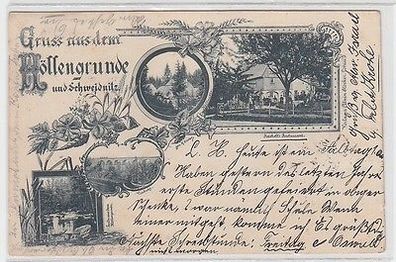 67420 Mehrbild Ak Gruß aus dem Höllengrunde und Schweidnitz 1898