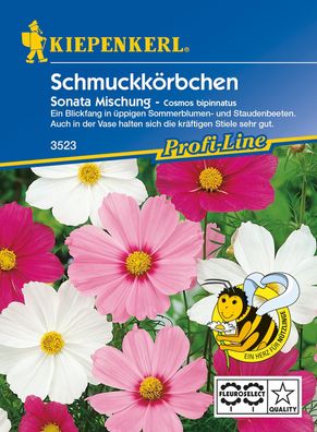Schmuckkörbchen Cosmos Sonata Mischung, Blickfang in üppigen Sommerblumen- und ...
