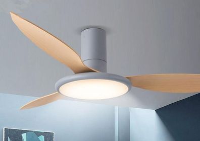 Neue nordische minimalistische Design Fan Lampe dekorative Acryl LED Beleuchtung