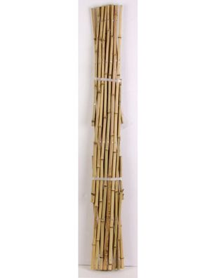 10 x Gartenspalier Bambus Rankgitter Kletterpflanzen Hilfe Sichtschutz Faltbar