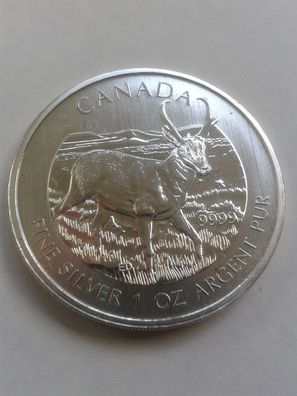 5$ 2013 Kanada Antilope 5 Dollars 2013 Canada Antilope 1 Unze Silber 999