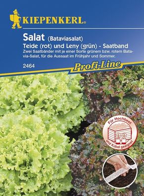 Salat (Batavia-Salat) Teide und Leny Saatband 2x2,5m