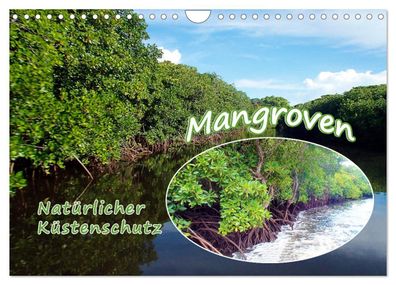 Mangroven - Natürlicher Küstenschutz 2023 Wandkalender