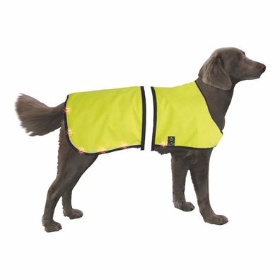 Nobby LED Sicherheitsweste neon gelb reflektierend Sicherheit Safety Weste Hund