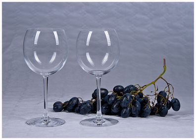 Cristal d'Arques 2er-Set Weingläser Weißweinglas Rotweinglas Weinglas