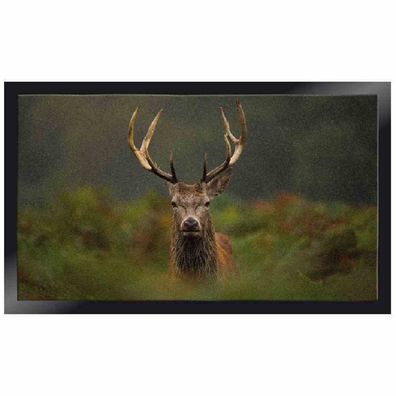 Fußmatte Peva Moose 45x75cm Schmutzfangmatte Fußabtreter Türmatte Haushalt TOP