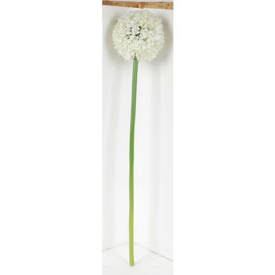 24x Künstliche Allium Blütenstängel Gras Pflanzen Blumen Dekoration Getrocknet