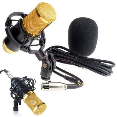 BM 800 Mikrofon-Kondensator-Tonaufnahmemikrofon mit Stoßdämpferhalterung für