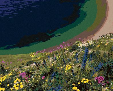Zuty - Malen nach Zahlen - Wiesenblumen ßBER DER KßSTE (DENNIS FRATES), 40x50 cm