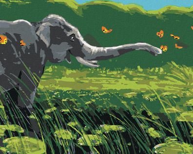 Zuty - Malen nach Zahlen - Elefant UND Schmetterlinge, 40x50 cm