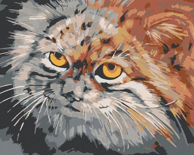 Zuty - Malen nach Zahlen - Graubraune KATZE, 40x50 cm