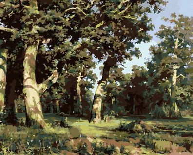 Zuty - Malen nach Zahlen - OAK GROVE (IVAN Shishkin), 40x50 cm