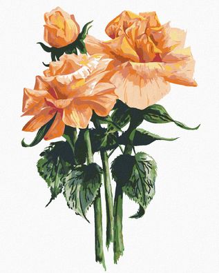 Zuty - Malen nach Zahlen - ORANGE ROSE (ALEXANDRIA Gilbert), 40x50 cm