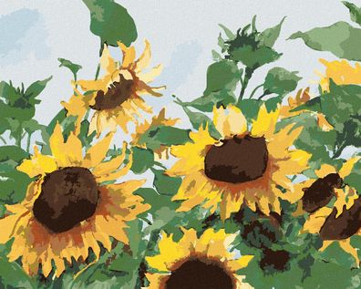 Zuty - Malen nach Zahlen â€? Sonnenblumen (JUDY Buswell), 40x50 cm