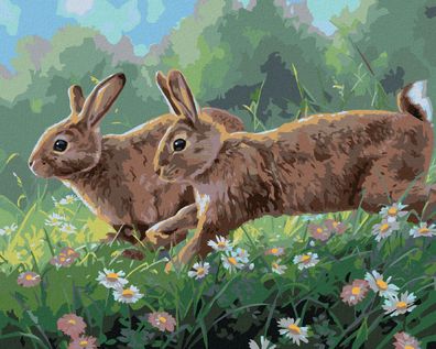 Zuty - Malen nach Zahlen - Kaninchen IN FRßHLINGSBLUMEN (ABRAHAM HUNTER), 40x50 cm