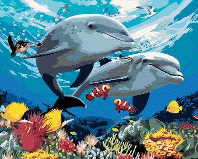 Zuty - Malen nach Zahlen - Delfine UND Korallenriff (HOWARD Robinson), 40x50 cm