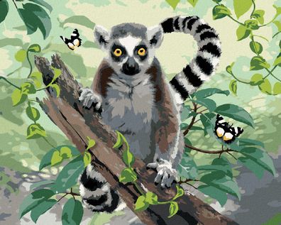 Zuty - Malen nach Zahlen - LEMUR UND Schmetterlinge (HOWARD Robinson), 40x50 cm