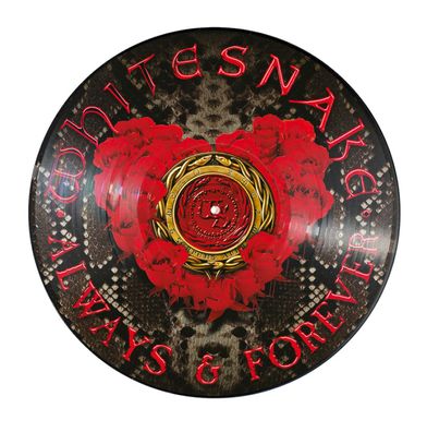 Whitesnake - Always & Forever Ltd 12´´ Maxi Picture Vinyl 1000 worldwide NEU OVP