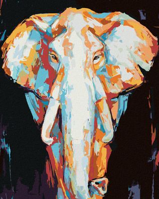 Zuty - Malen nach Zahlen - BUNTER Elefant AUF Schwarzem Hintergrund, 40x50 cm