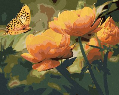 Zuty - Malen nach Zahlen - Schmetterling UND Orangefarbene BLUMEN, 40x50 cm
