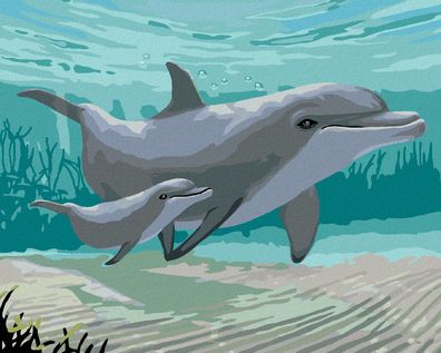 Zuty - Malen nach Zahlen - Delphine (ROBERT Johnson), 40x50 cm