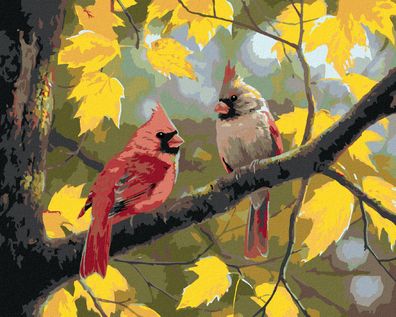 Zuty - Malen nach Zahlen - Kardinalvogel UND DER HERBST (ABRAHAM HUNTER), 40x50 cm