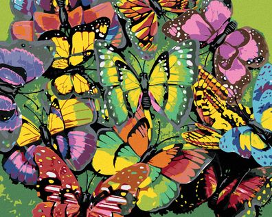 Zuty - Malen nach Zahlen - HERDE VON BUNTEN Schmetterlingen, 40x50 cm
