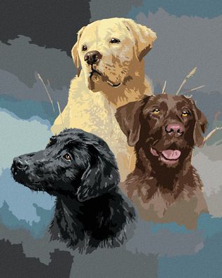 Zuty - Malen nach Zahlen - Goldener, Brauner UND Schwarzer Labrador (JAMES Hautman),