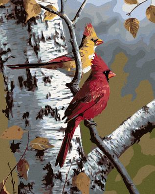 Zuty - Malen nach Zahlen - Kardinalvogel UND BIRKE (ROBERT Hautman), 40x50 cm
