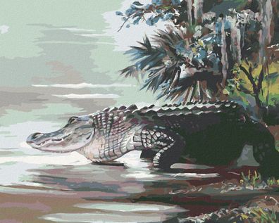 Zuty - Malen nach Zahlen - Alligator, DER IM Dschungel INS WASSER GEHT (D. RUSTY RUST