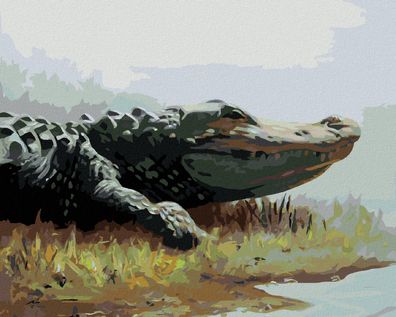 Zuty - Malen nach Zahlen - Alligator, DER IM GRAS AM WASSER LIEGT (D. RUSTY RUST), 40