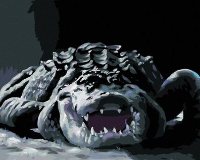 Zuty - Malen nach Zahlen - Alligator IM Dunkeln (D. RUSTY RUST), 40x50 cm