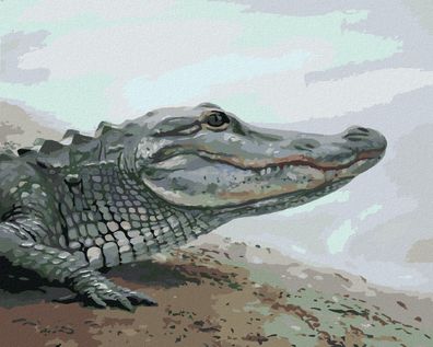 Zuty - Malen nach Zahlen - Alligator AM WASSER (D. RUSTY RUST), 40x50 cm