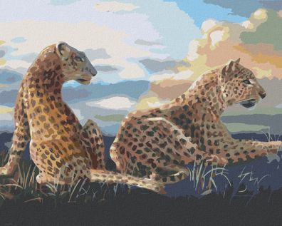 Zuty - Malen nach Zahlen - Liegender Leopard (D. RUSTY RUST), 40x50 cm